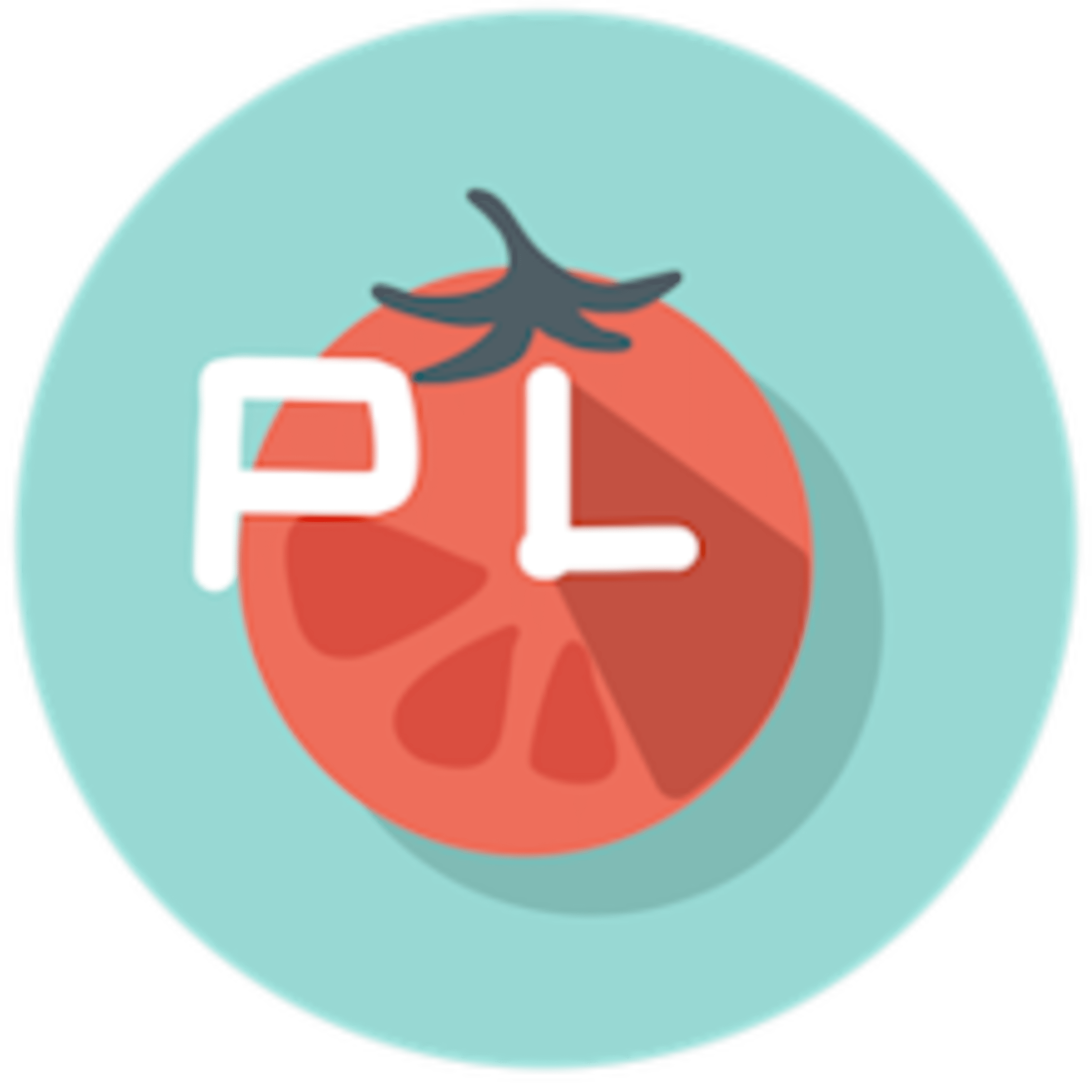paslen-focus-timer-logo.png